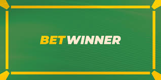 Everything You Need to Know About Casino Betwinner Everything You Need to Know About Casino Betwinner