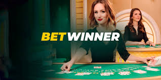 আপনার সেরা গন্তব্যcasino online আপনার সেরা গন্তব্যcasino online