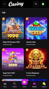 Exploring the Excitement of Casiny Casino